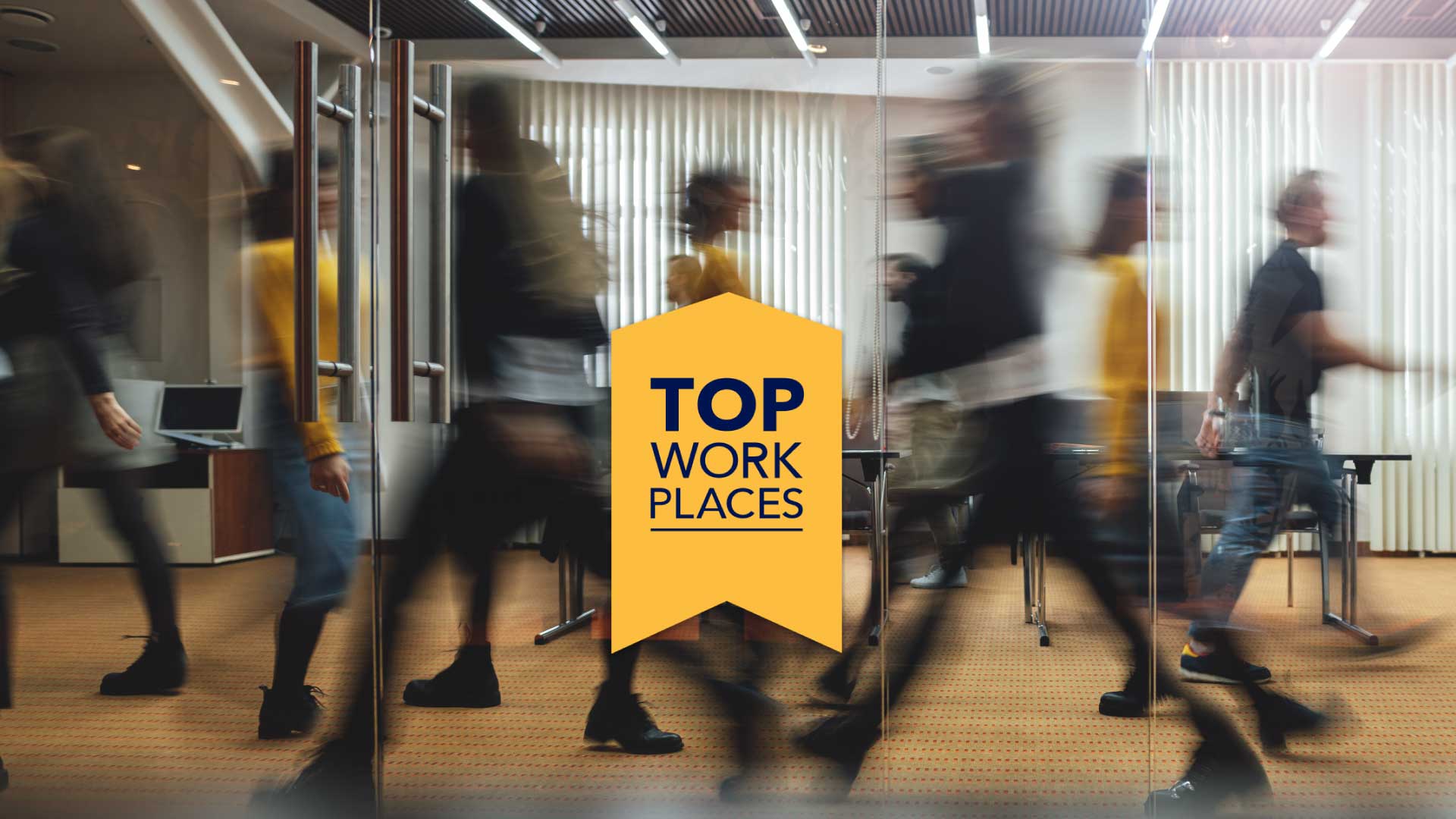 press release featured cis named top work place